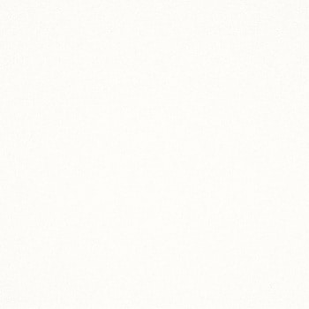 机上テーブル HN型 フアナ Huana ナイキ