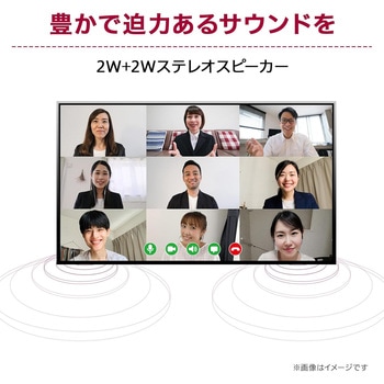 23.8インチ 液晶ディスプレイ(1920x1080/IPS/アンチグレア/D-Sub/HDMI/DP/100Hz/チルト/スイベル/高さ調整/ピボット/3年保証) LG