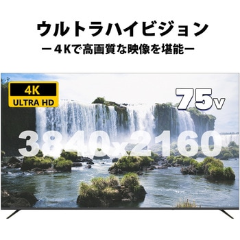 <アペックス>75型4K対応液晶モニター(4K対応/HDMI3系統搭載/壁掛け対応) APEX