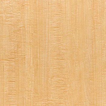 WBE-408 �E�b�h���C�� E�T�C�Y �^�W�}(�c�����[�t�B���O) 05366497