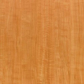 WBE-311 �E�b�h���C�� E�T�C�Y �^�W�}(�c�����[�t�B���O) 05366506