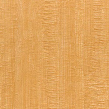 WBE-409 �E�b�h���C�� E�T�C�Y �^�W�}(�c�����[�t�B���O) 05366515