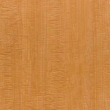 WBE-410 �E�b�h���C�� E�T�C�Y �^�W�}(�c�����[�t�B���O) 05366524