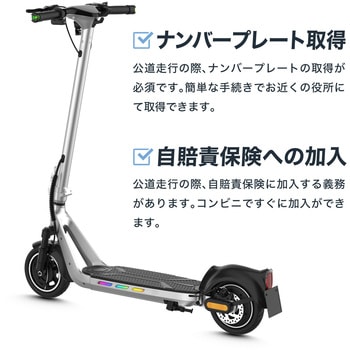 EX15 ピークシルバー EVEREST XING