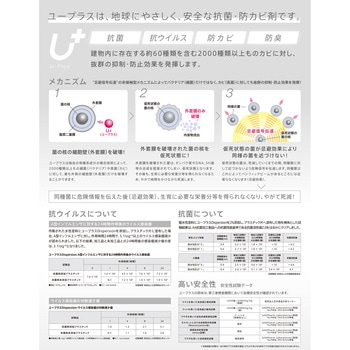 UL291 UNION(ユニオン)