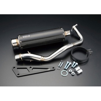 SS300カーボンSP PCX125 2014～ New! BEAMS(ビームス)