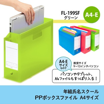 ファイル 年組氏名スクール PPボックスファイル A4-E プラス(文具)