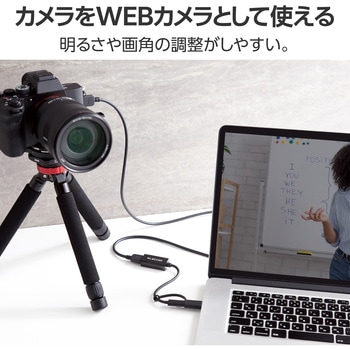 変換アダプタ HDMIキャプチャユニット ( HDMI to Type-C + USB A 変換 ) 1080P 30Hz 小型 軽量 ブラック エレコム
