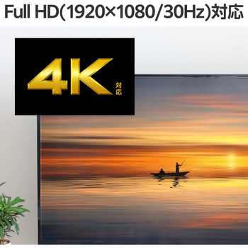 変換アダプタ HDMIキャプチャユニット ( HDMI to Type-C + USB A 変換 ) 1080P 30Hz 小型 軽量 ブラック エレコム