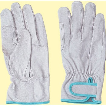 #433 tBbg u^W[ĕt m[uh 05719971