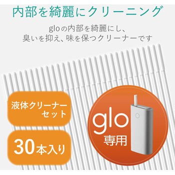 Gloの掃除は付属品のブラシだけでは不完全 いまいちど ログ