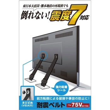耐震ベルト テレビ用 ネジどめタイプ 2本入 固定器具 長さ調整可能 地震対策 転倒防止 防災用品 取り付け簡単 エレコム