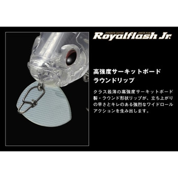ロイヤルフラッシュJr. EverGreen INTERNATIONAL