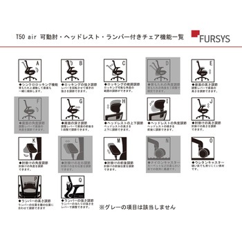 T50air チェア FURSYS