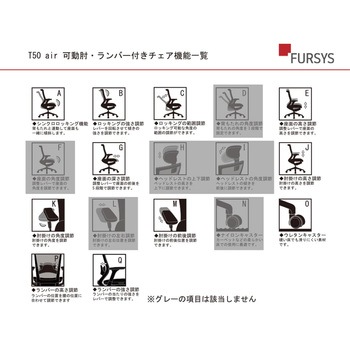 T50air チェア FURSYS