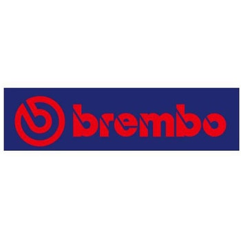 サーフェスセットΦ300 ステン 108.4899.86 brembo