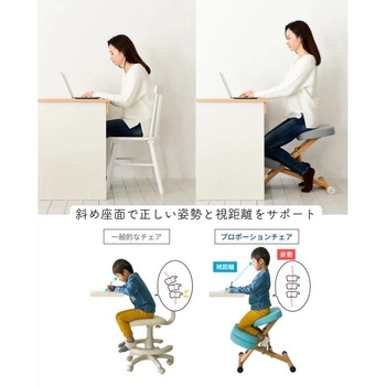 プロポーションチェア カバー付き ミヤタケ(宮武製作所)