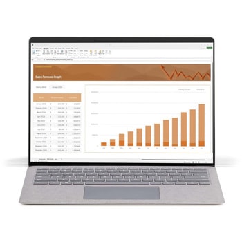 覗き見防止プライバシーフィルター/12.4インチ Surface Laptop Go 1、2、3対応/275x195mm/4方向/自己吸着タイプ/視野角60度/非光沢/ブルーライトカット/2in1 タブレットPC  液晶保護フィルム StarTech.com