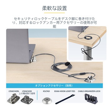 セキュリティーワイヤーロック/ケーブル長2m/シリンダー錠/25個セット 統一キー4本付属/標準、Noble Wedge、Nano Saverスロット対応/盗難対策 PC パソコンロック ケーブル StarTech.com