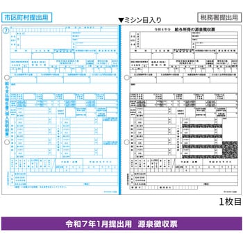 令和7年提出用 所得税源泉徴収票 A4 2面(2枚組) ヒサゴ