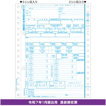 令和7年提出用 所得税源泉徴収票 3P ヒサゴ