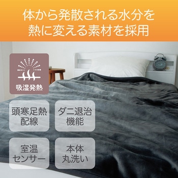 電気毛布 コイズミ