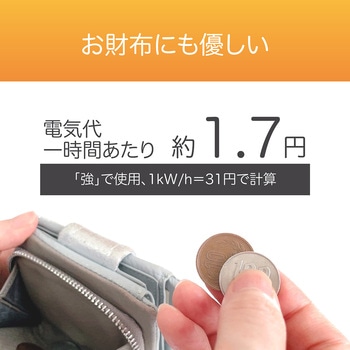電気毛布 コイズミ