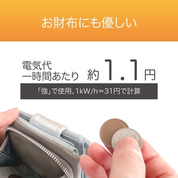 電気毛布 コイズミ