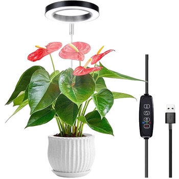 植物育成ライト LED 高さ調節可能 大/小型植物用 タイマー機能付き AFF WARE