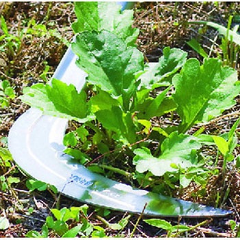 角度変更のできる鎌(万能草刈刃)1050mm柄 石黒金属