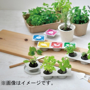 エコポケットジャパニーズコレクション 聖新陶芸