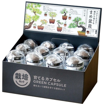 育てるカプセル ミニ盆栽 4s 聖新陶芸