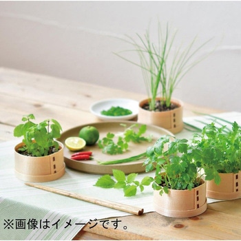 WAPPA 和っ葉 三つ葉 聖新陶芸