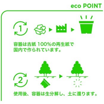 エコット(S) カモミール 聖新陶芸