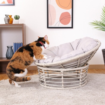 ペット用クッションチェア GY - 不二貿易