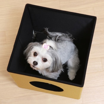 ペットハウスキューブ2段 RD/YE 不二貿易