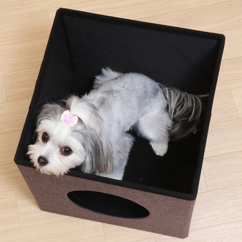 ペットハウスキューブ2段 BL/BR 不二貿易