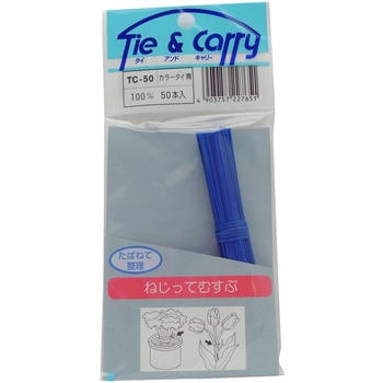 TC-050 J[^C WAKI(aCY) 06122182