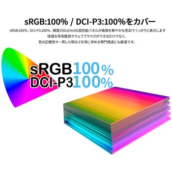 液晶ディスプレイ 17.3型/3840×2160/HDMI×1、USB-C×2/ブラック/スピーカー有/2年保証 JAPANNEXT