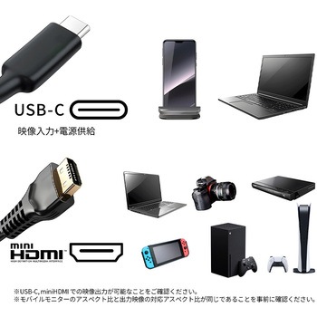 液晶ディスプレイ 17.3型/3840×2160/HDMI×1、USB-C×2/ブラック/スピーカー有/2年保証 JAPANNEXT