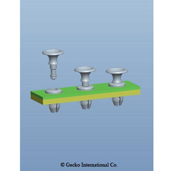 スナップラッチ Gecko Japan