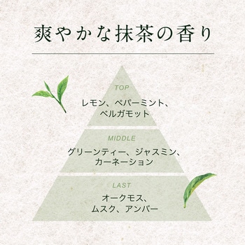 茶の粋 抹茶泡洗顔フォーム コスメテックスローランド