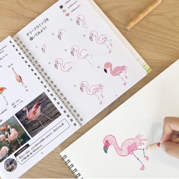 おえかきずかん コクヨ