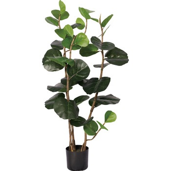 シーグレープ - FRECCE