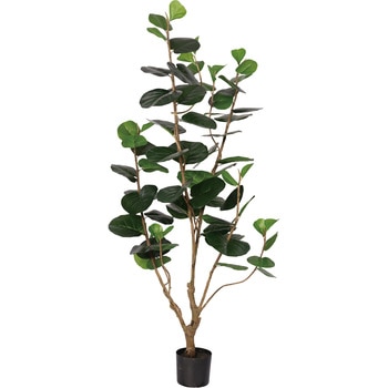 シーグレープ - FRECCE