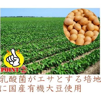 乳酸菌発酵物質 癒友輝 腸活 善玉菌 乳酸菌発酵エキス 腸内環境 ユウキ
