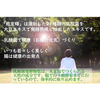 乳酸菌発酵物質 癒友輝 腸活 善玉菌 乳酸菌発酵エキス 腸内環境 ユウキ