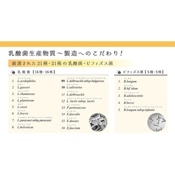 乳酸菌発酵物質 癒友輝 腸活 善玉菌 乳酸菌発酵エキス 腸内環境 ユウキ