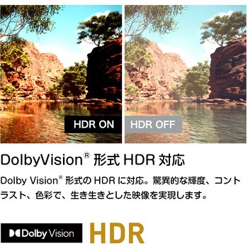 4K チューナーレススマートテレビ オリオン(ORION)