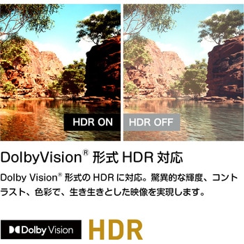 4K対応・HD・FHD スマートテレビ SMART TV series オリオン(ORION)